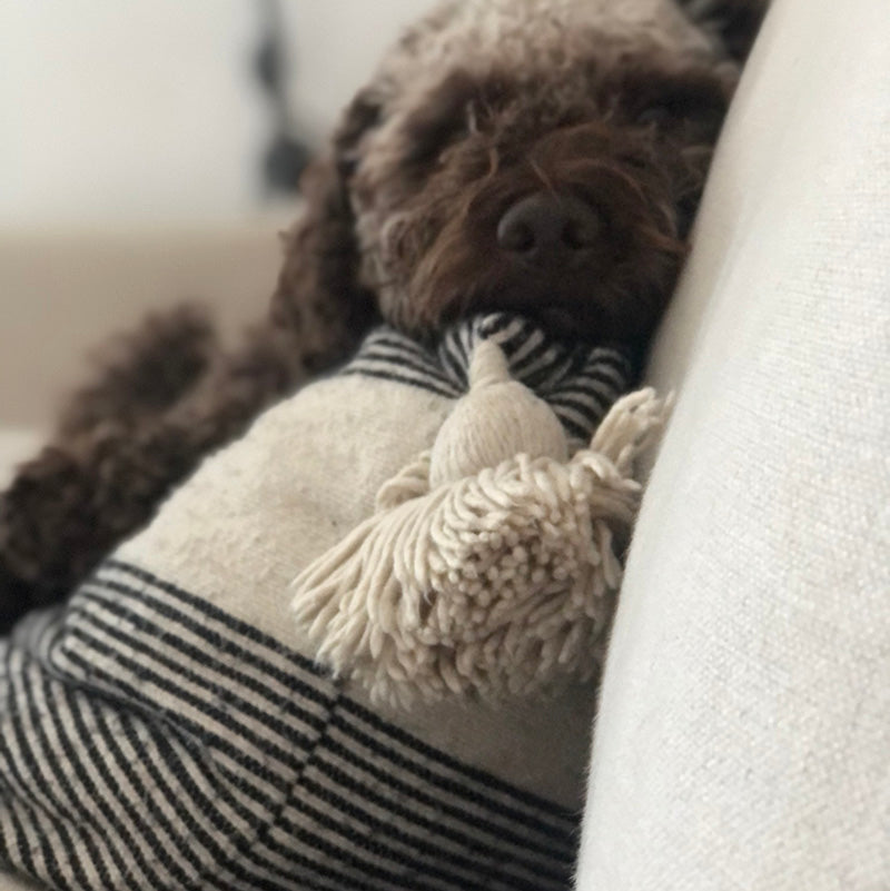 Paus hos Solsken @solsken